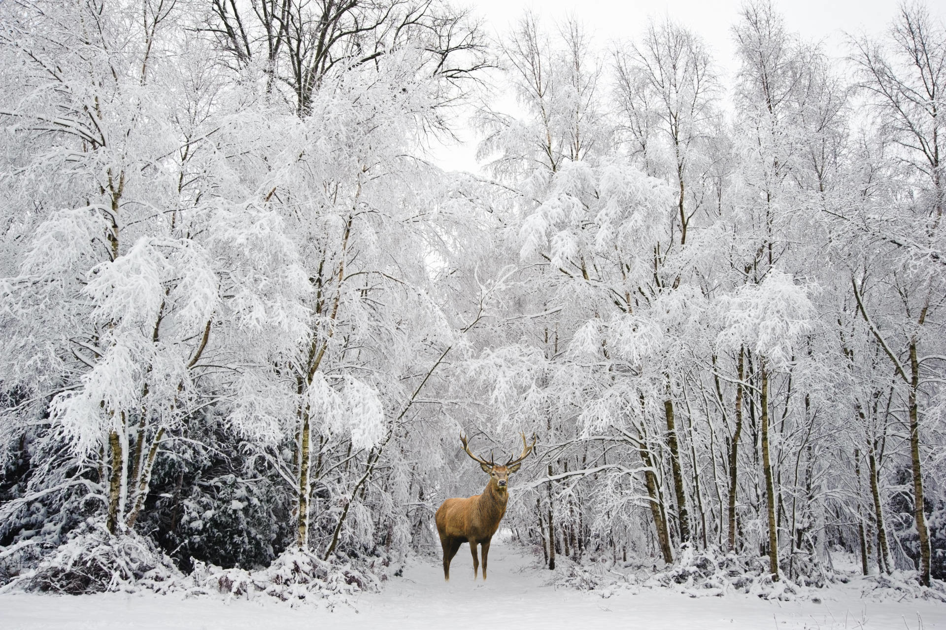 Winter Stag Do Ideas Essential Adventure Winter Stag Do Ideas Essential Adventure